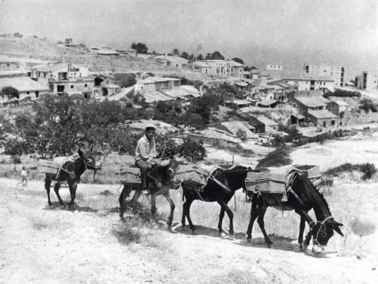 Trasporto creta a dorso di mulo